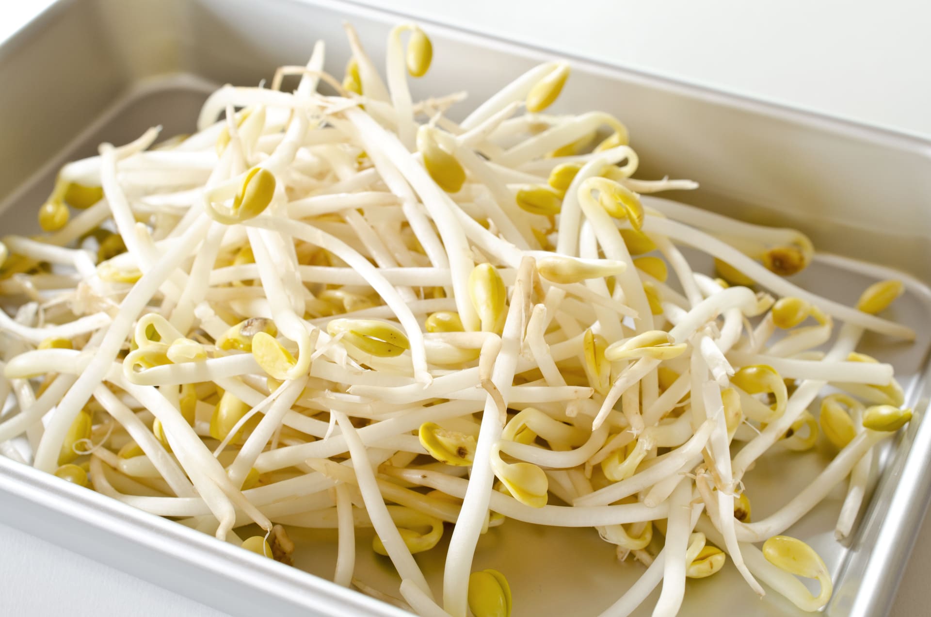 給食センターへの供給 | 神奈川周辺のもやしなら株式会社加藤岡昌弘商店